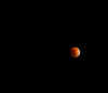 WF_Eclipse2008.jpg (30053 bytes)